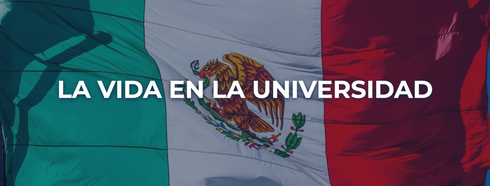 Mexican flag with "La Vida En La Universidad"